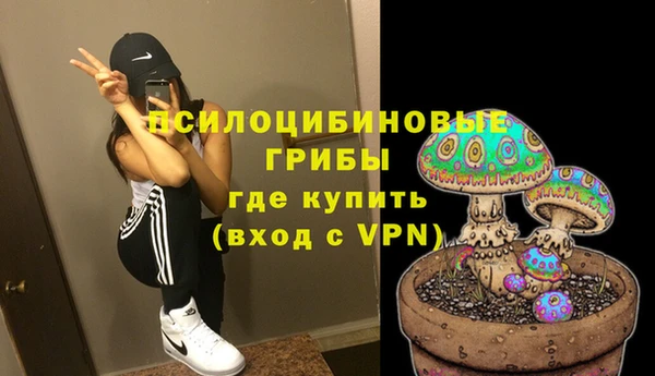 jwh Осинники