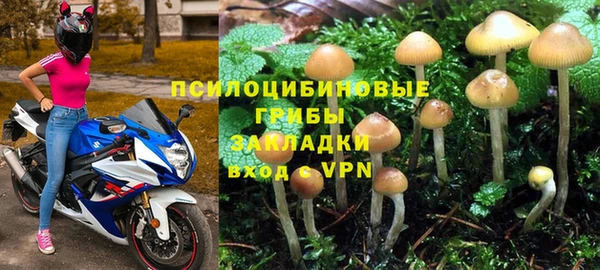 дживик Нязепетровск